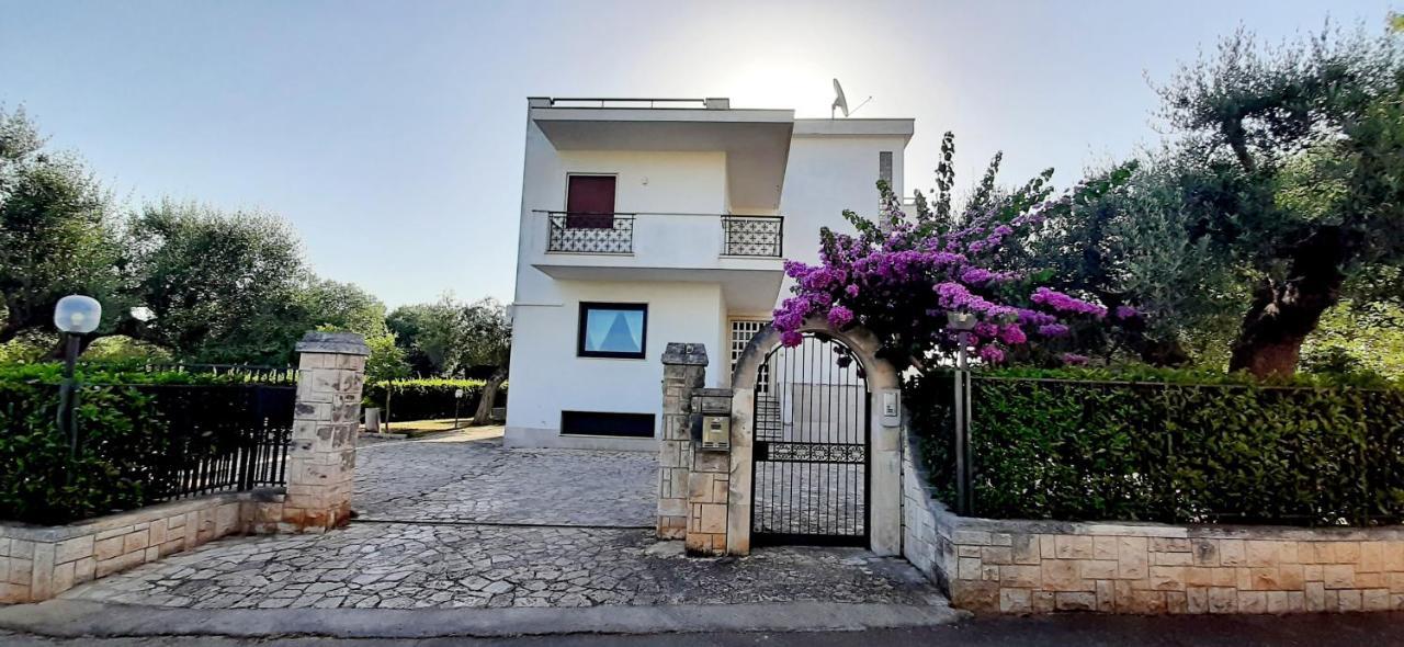 Dragonfly B&B Castellana Grotte Dış mekan fotoğraf
